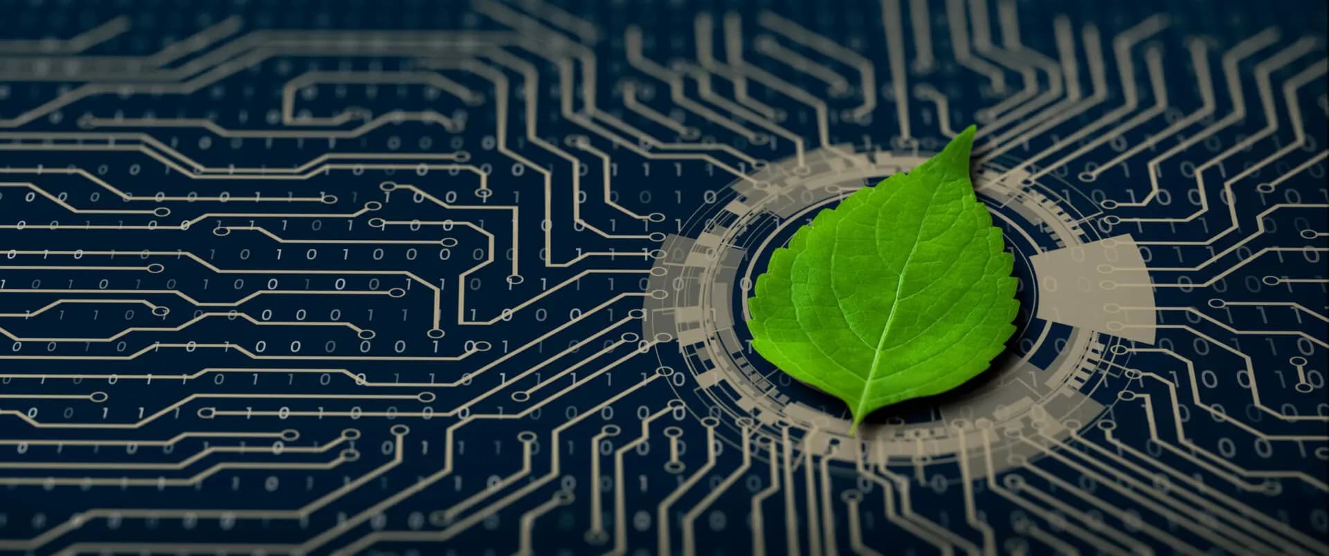 Green Coding reduziert den CO2-Fußabdruck