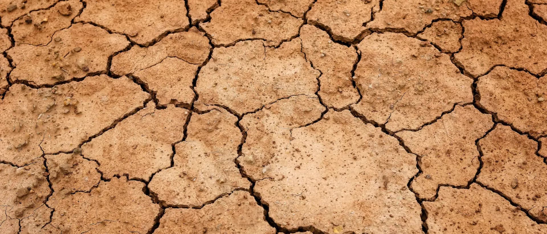 Klimastresstesting - Was Banken aus den Erfahrungen der Versicherer lernen können