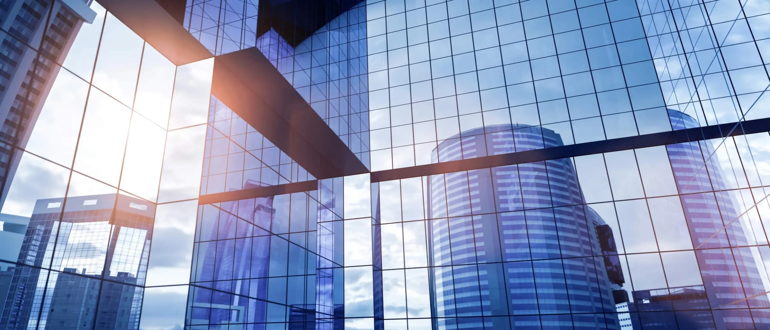 RWA simulation – A transparent overview of the development of capital requirements