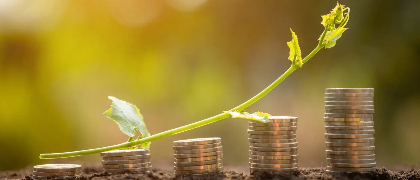 ESG Faktoren und regulatorische Vorgaben in der Kreditvergabe