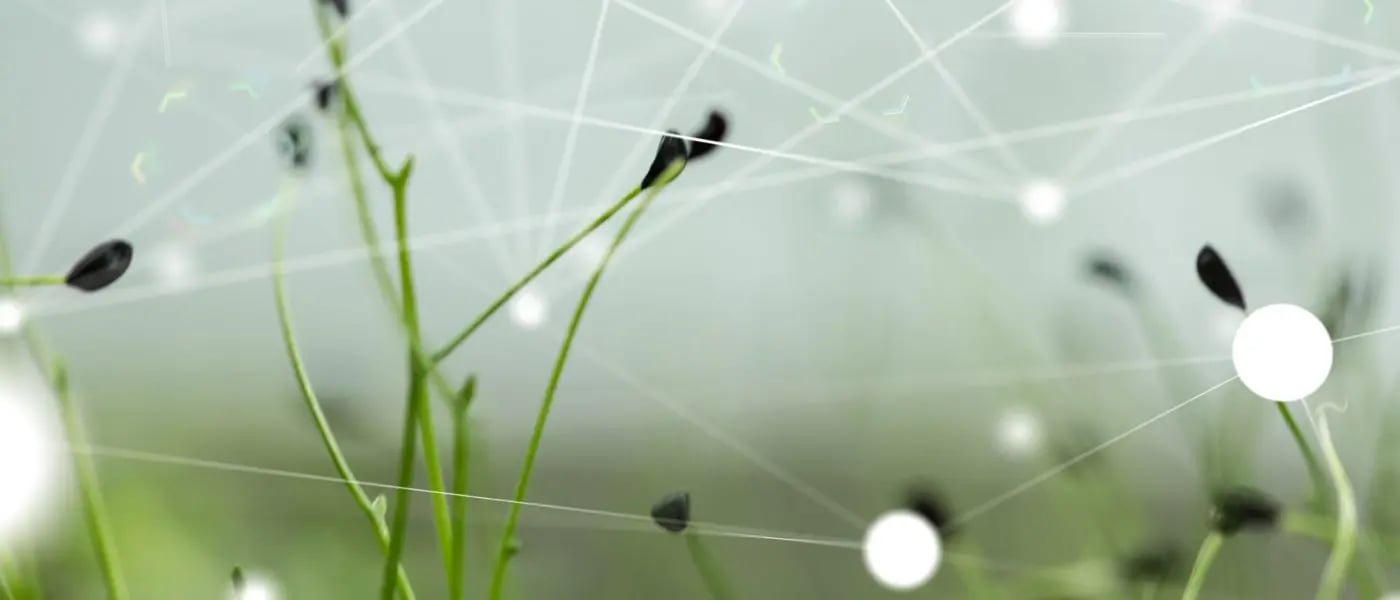 Green Coding – Energieverbrauch von Software messen