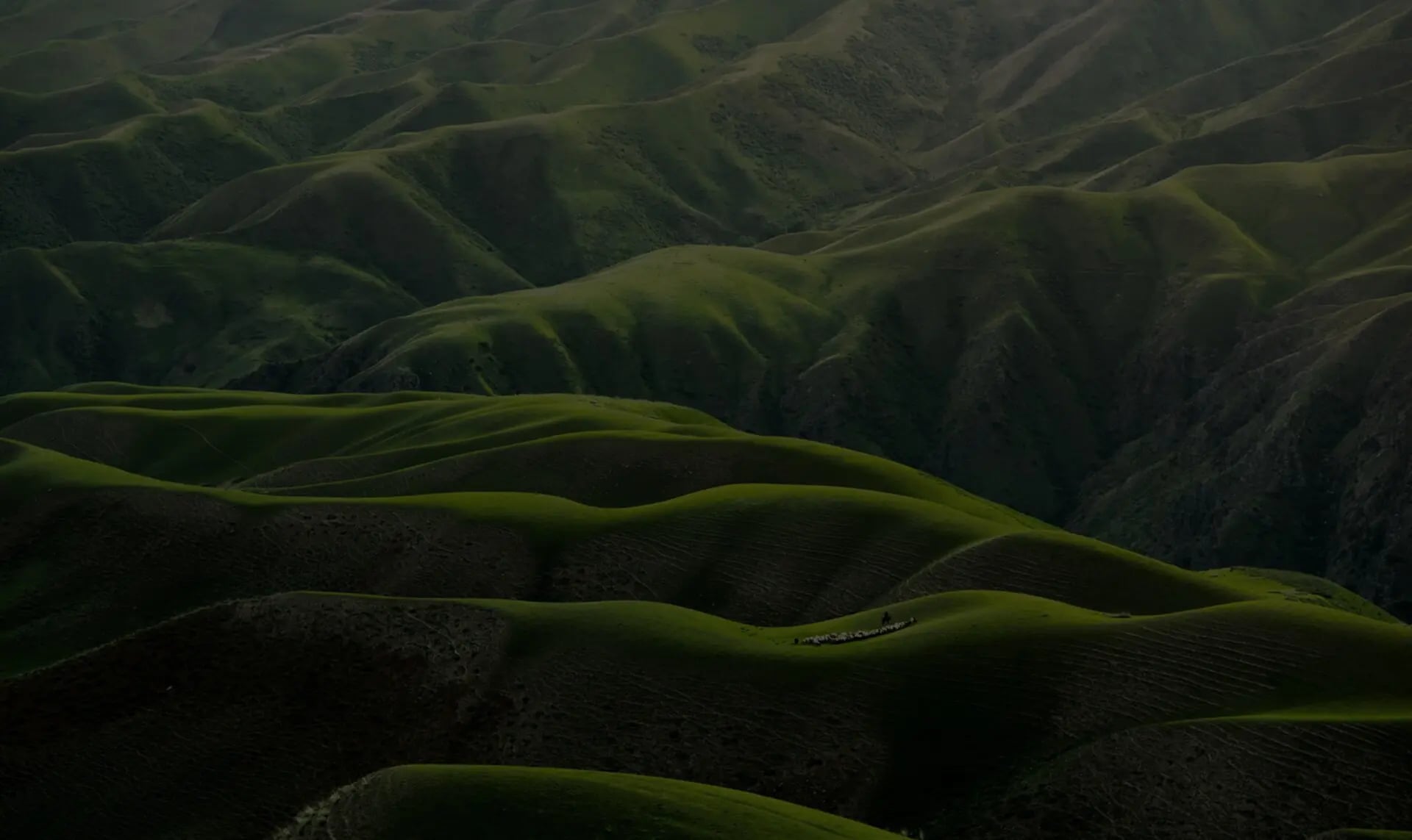 Neuerungen in Phase V der NGFS-Klimaszenarien und deren Auswirkungen im Finanzsektor