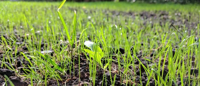 Daten als Fundament: Warum Compliance und Reporting 2026 über die Überlebensfähigkeit entscheiden