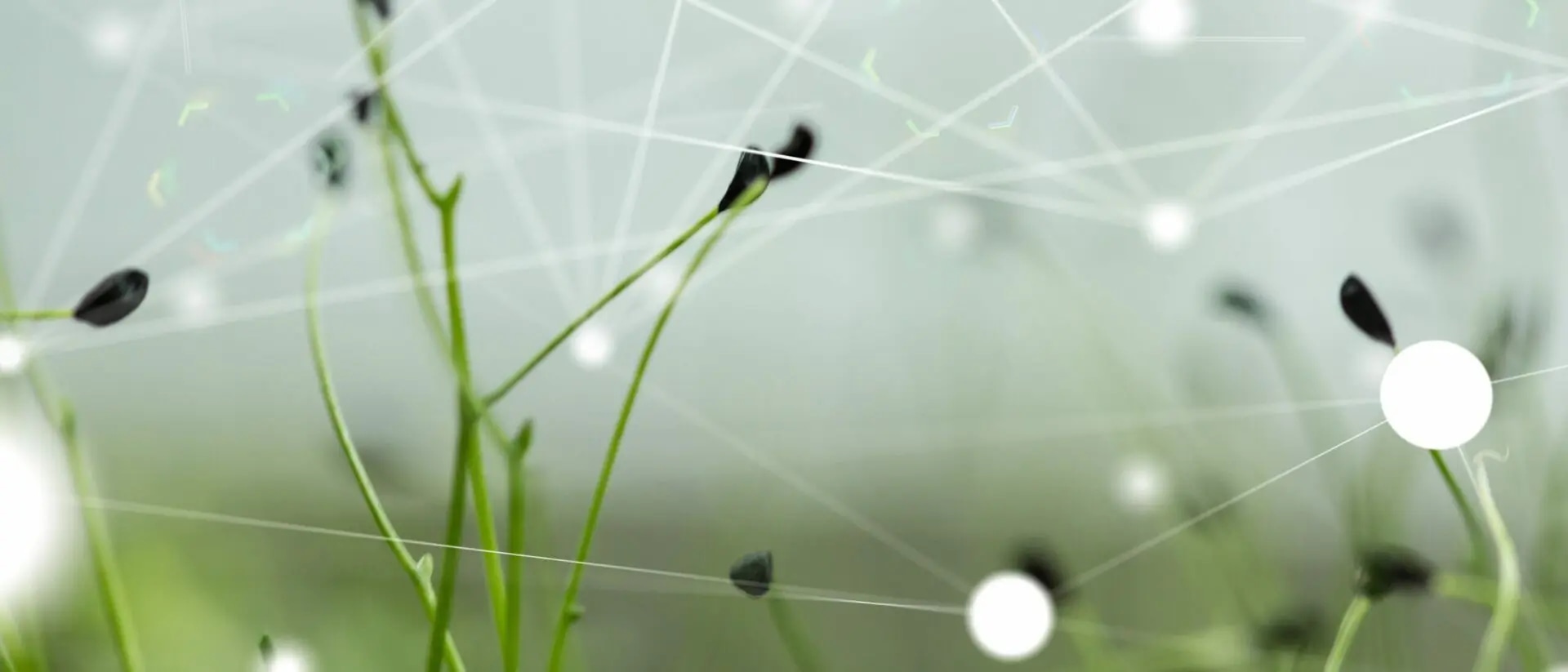 Green Coding - Energieverbrauch von Software messen