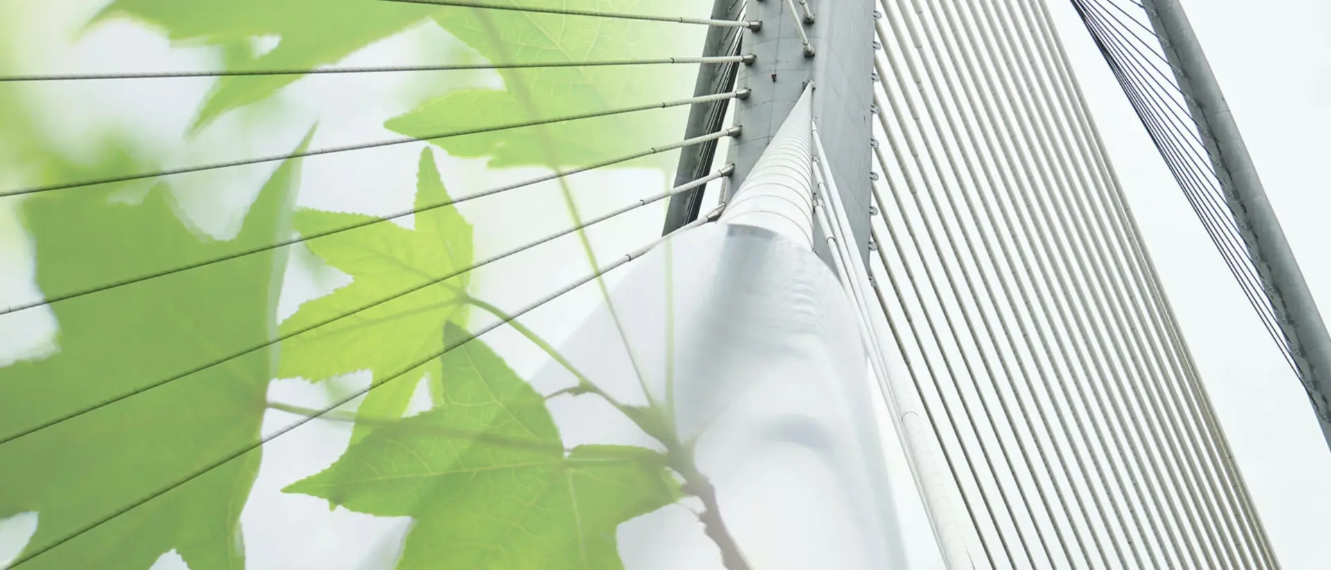 Grüne Kreditvergabe – mehr Schein als Sein?