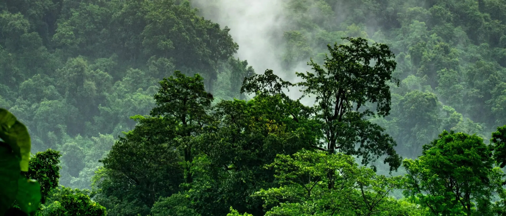 IFRS Sustainability Disclosure Standards – Meilenstein globaler Nachhaltigkeits-Berichterstattung