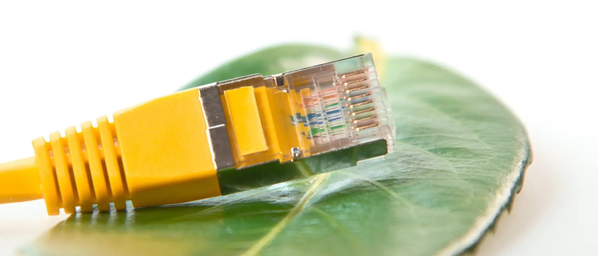 Green Coding - mehr Nachhaltigkeit in der IT