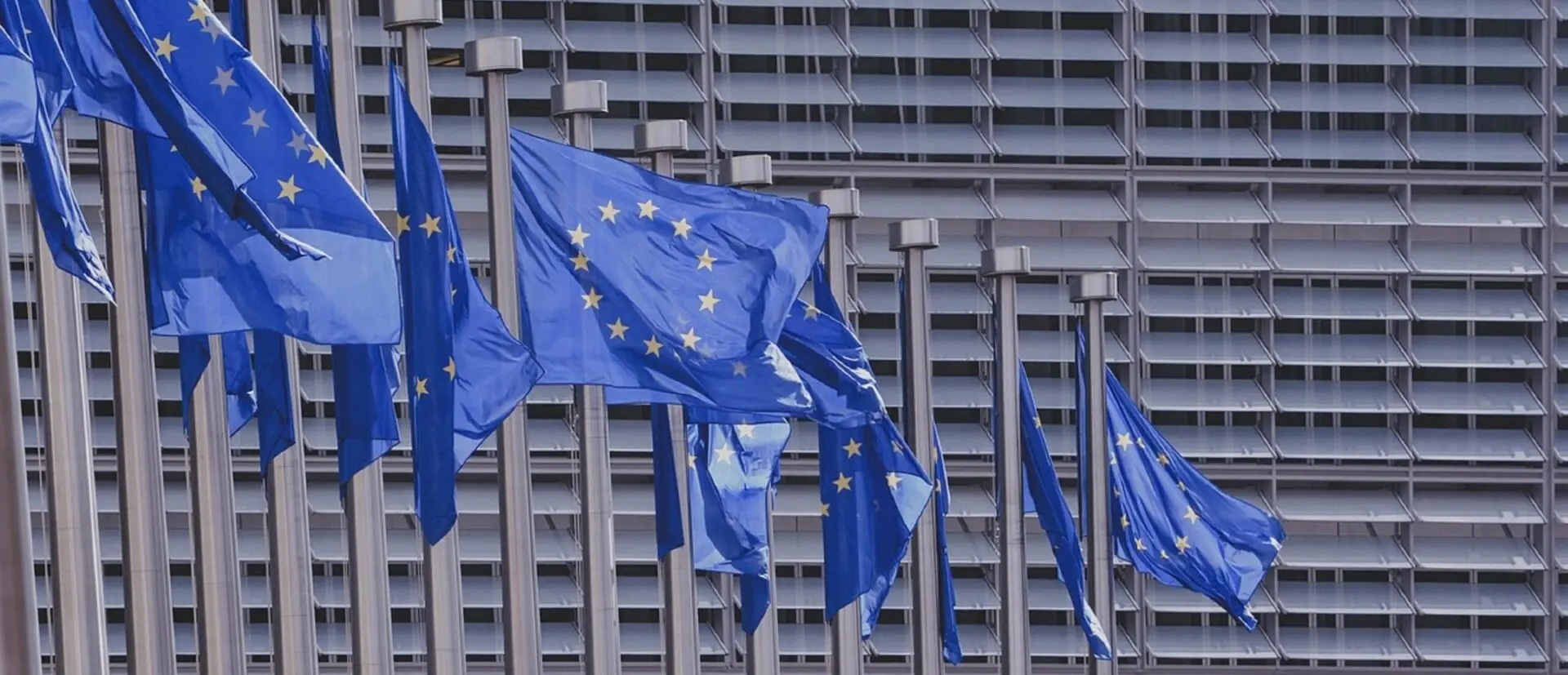 CESOP – Lösungen zur Erfüllung der neuen Meldepflicht für Banken und Zahlungsdienstleister