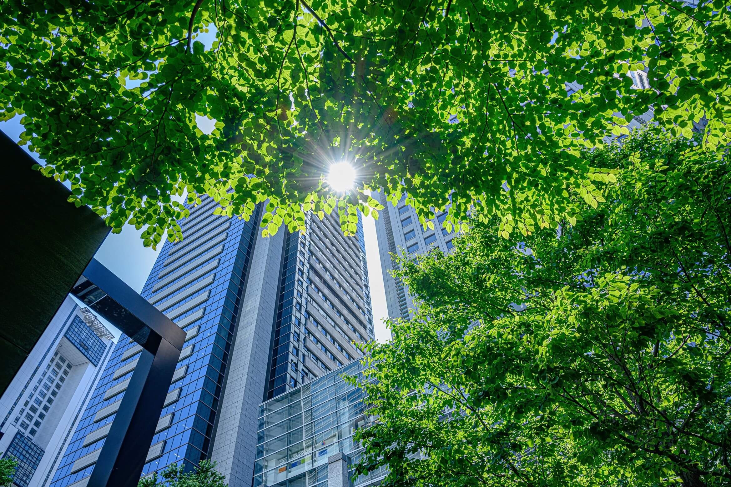 Green Bonds: Was ist das und wie profitieren Emittenten und Investoren?