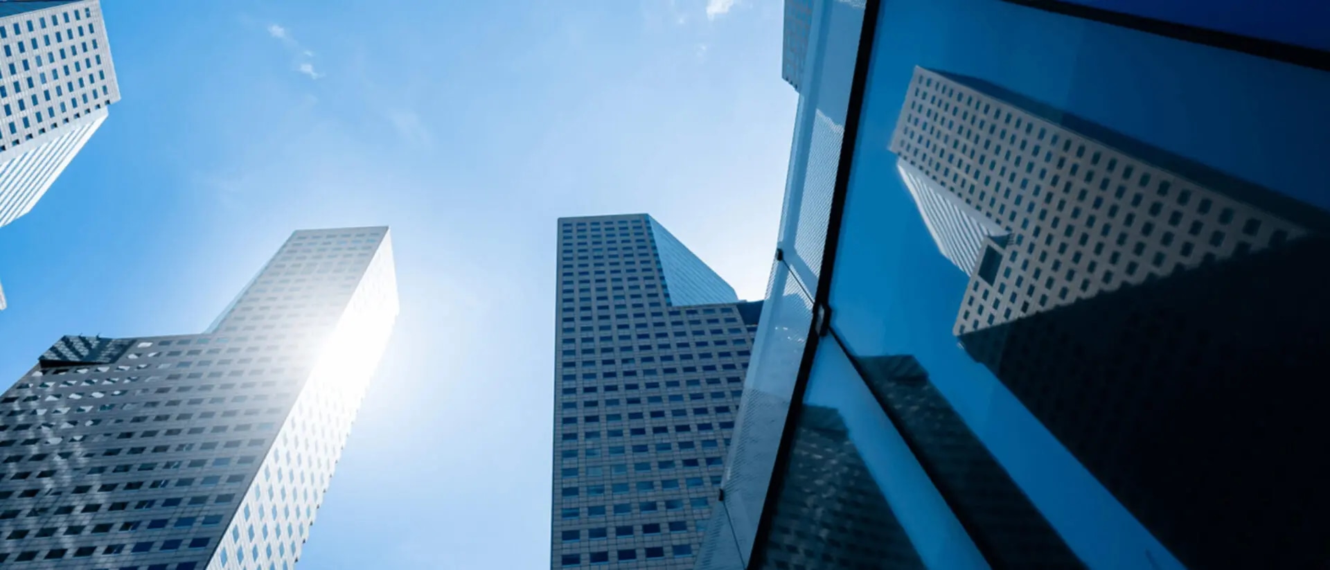 STE-Meldung und ESG-Offenlegung: Meldepflichten im Nachhaltigkeitsreporting