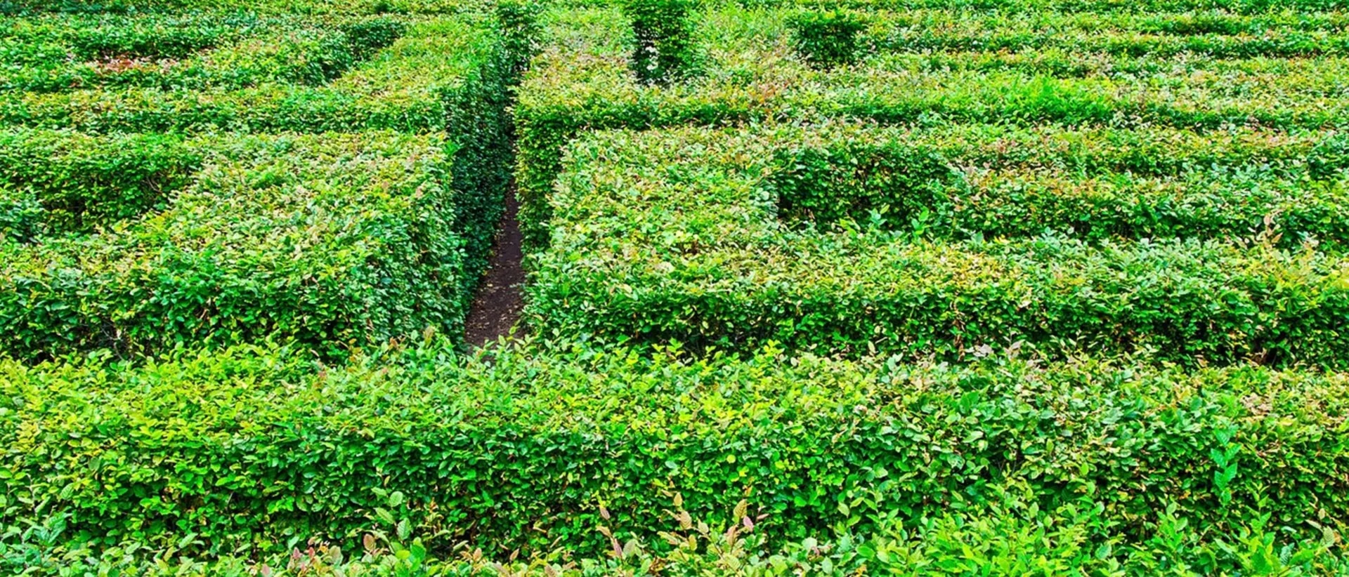 EBA zur Eigenkapitalunterlegung von Nachhaltigkeitsrisiken