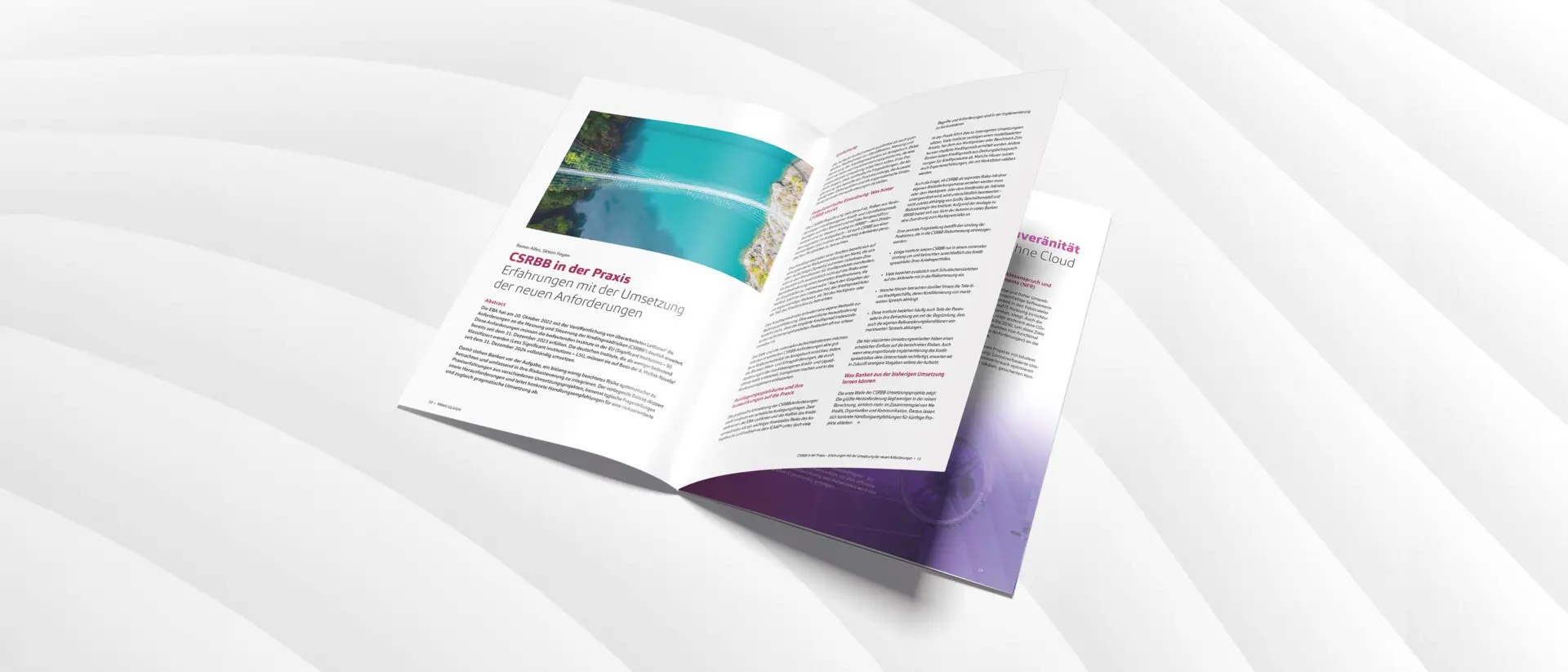 CSRBB in der Praxis - Erfahrungen mit der Umsetzung der neuen Anforderungen