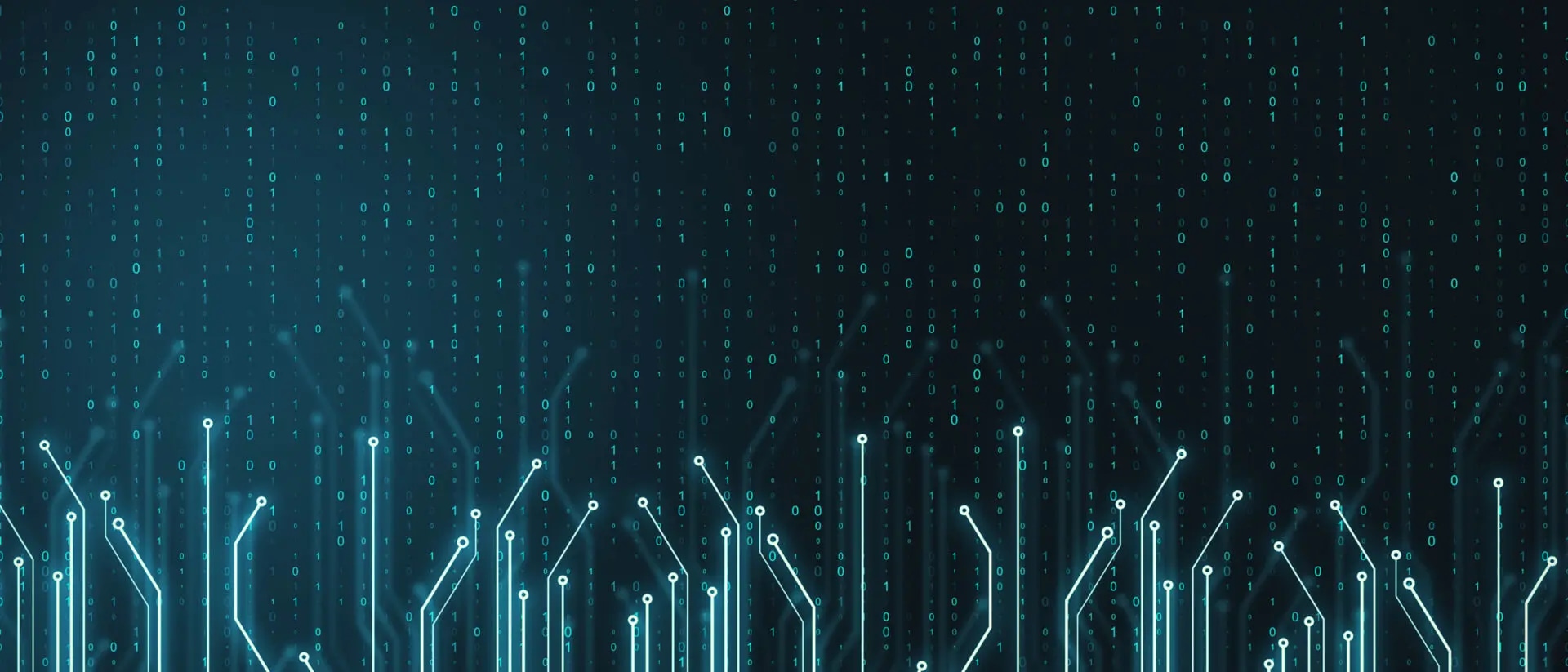 Datenmanagement mit msg.ORRP