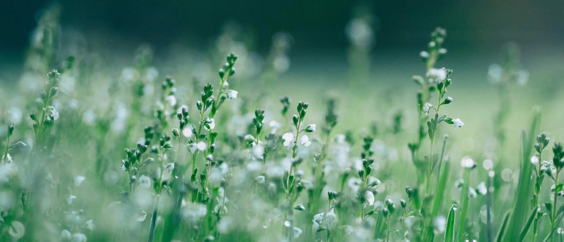 Nach dem SI-Klimastresstest ist vor dem LSI-Klimastresstest