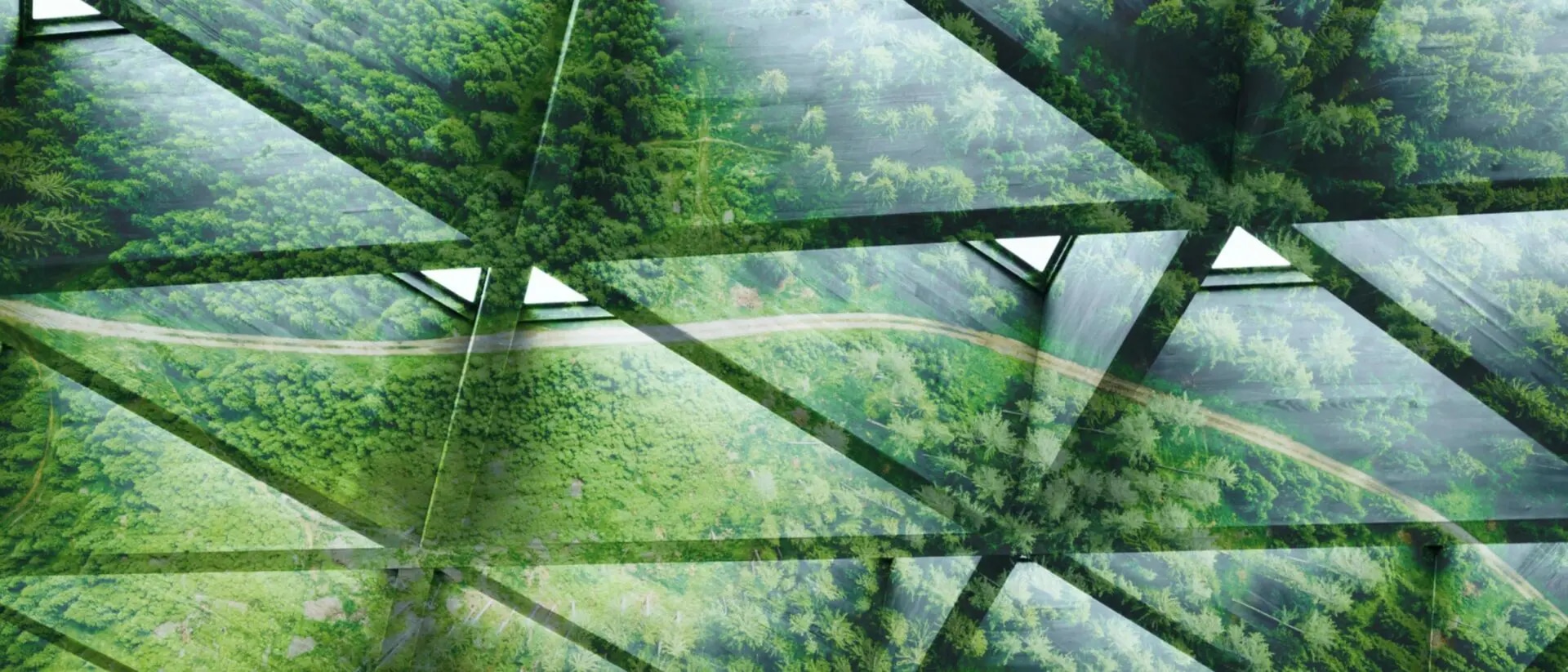 Sustainable Finance – Revolution des Kreditvergabeprozesses?