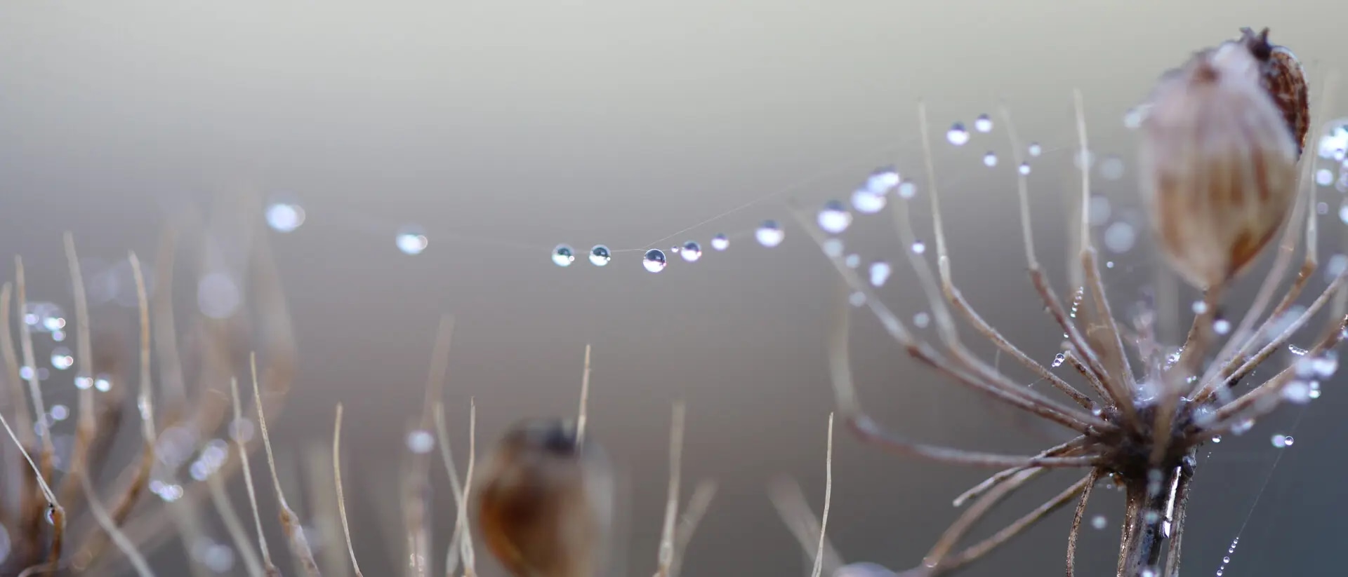 jPowerMonitor Cloud-Toolkit