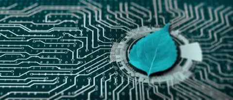 Green IT und Green Coding – Die Bedeutung von nachhaltiger IT steigt.