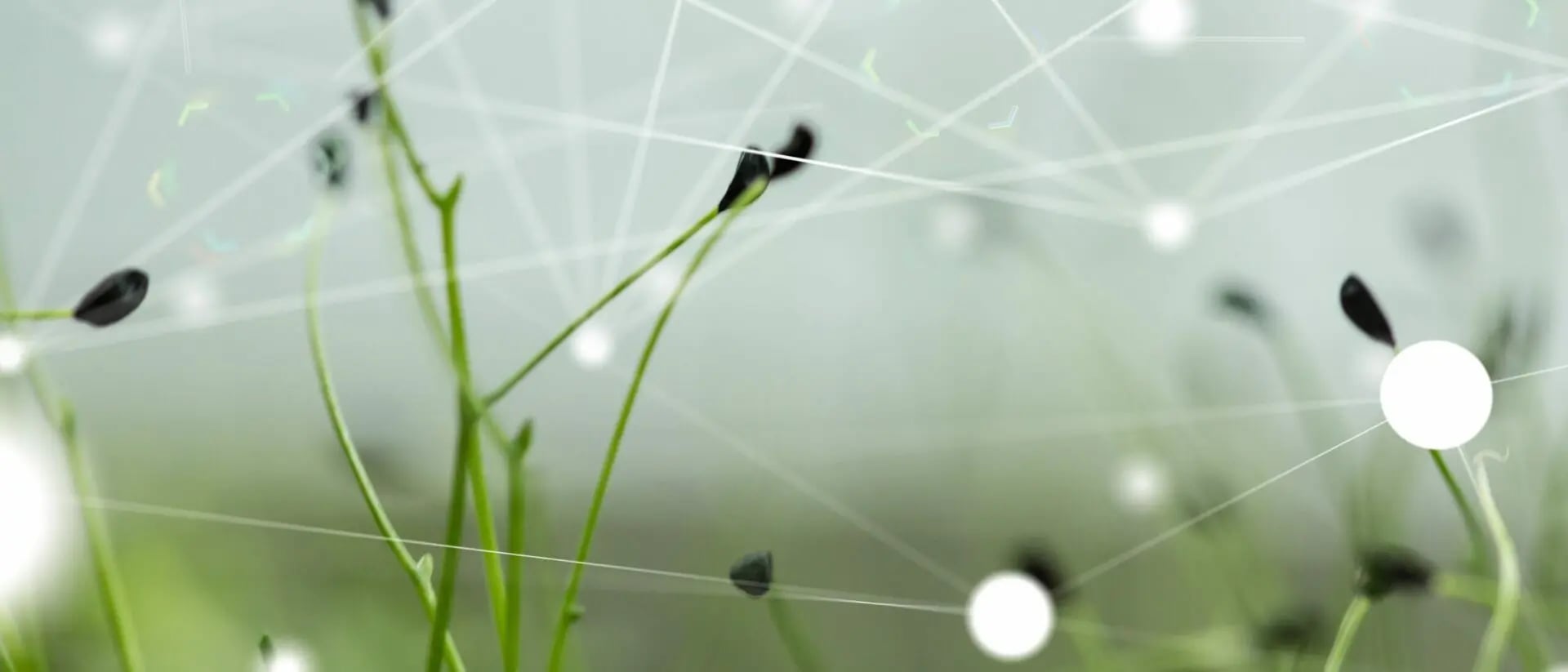 Green Coding - Energieverbrauch von Software messen