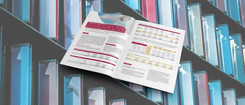 EBA Guidelines on loan origination and monitoring (EBA/GL/2020/06) – Auswirkungen auf die Kalkulation (II)