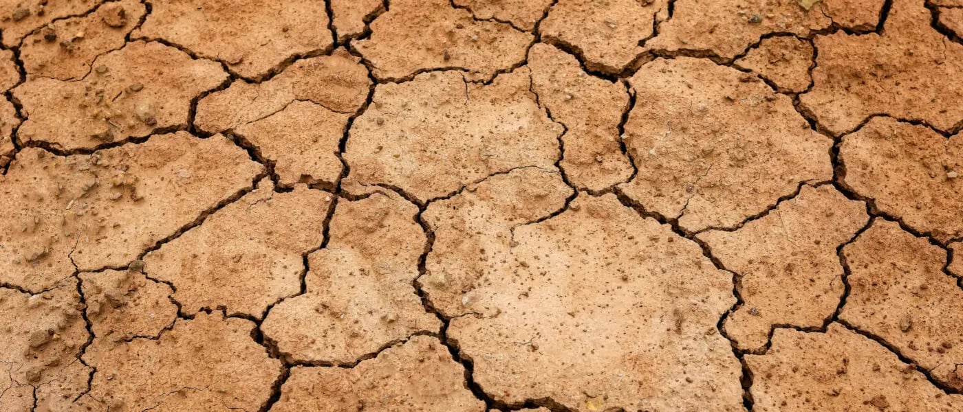 Klimastresstesting – Was Banken aus den Erfahrungen der Versicherer lernen können