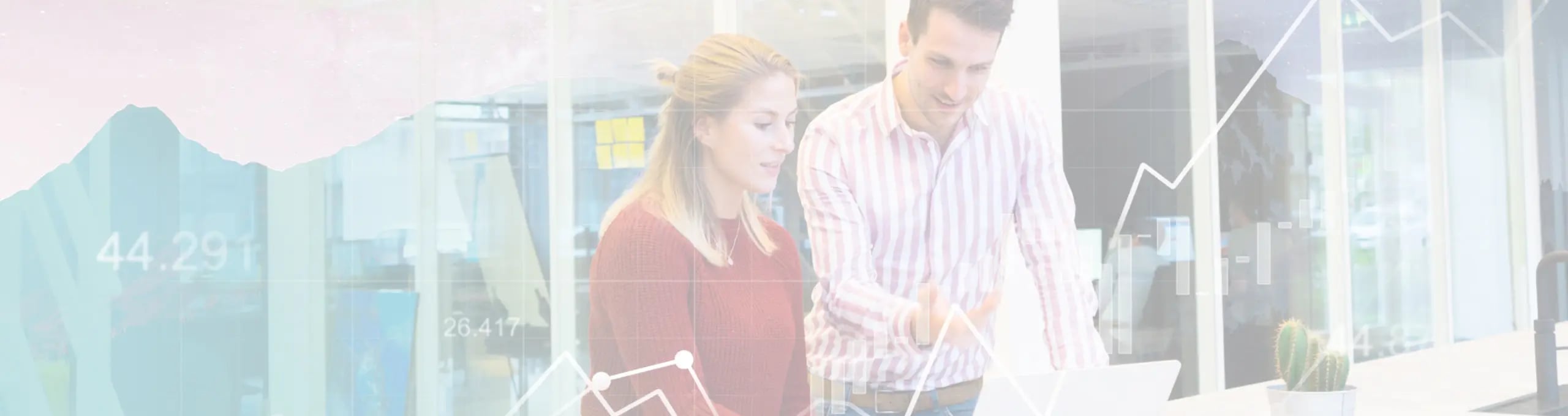 Salesforce-Consulting