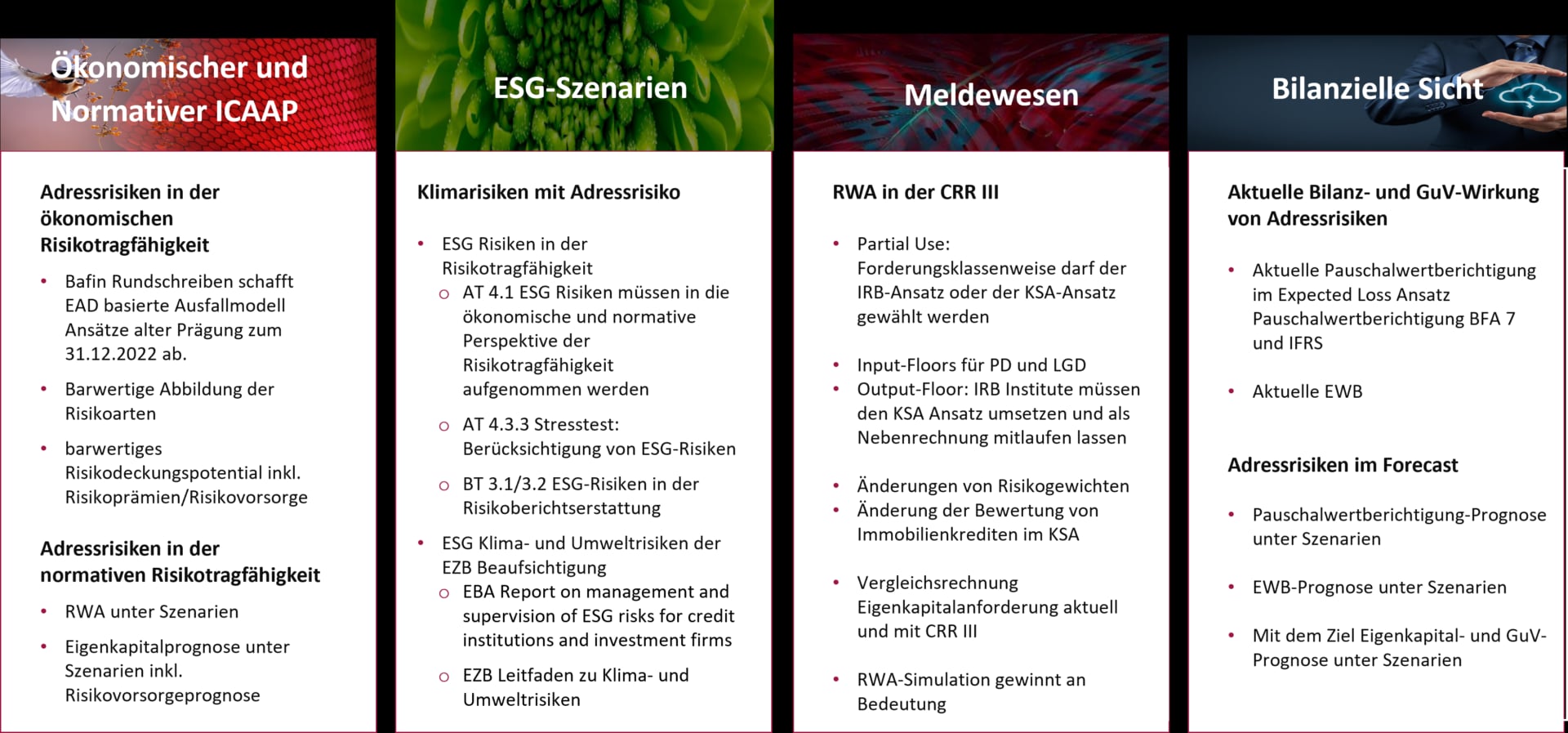 Abbildung 1: Fachliche Einordung der ESG-Klimastresstests im Konzept Adressrisiko, eigene Darstellung