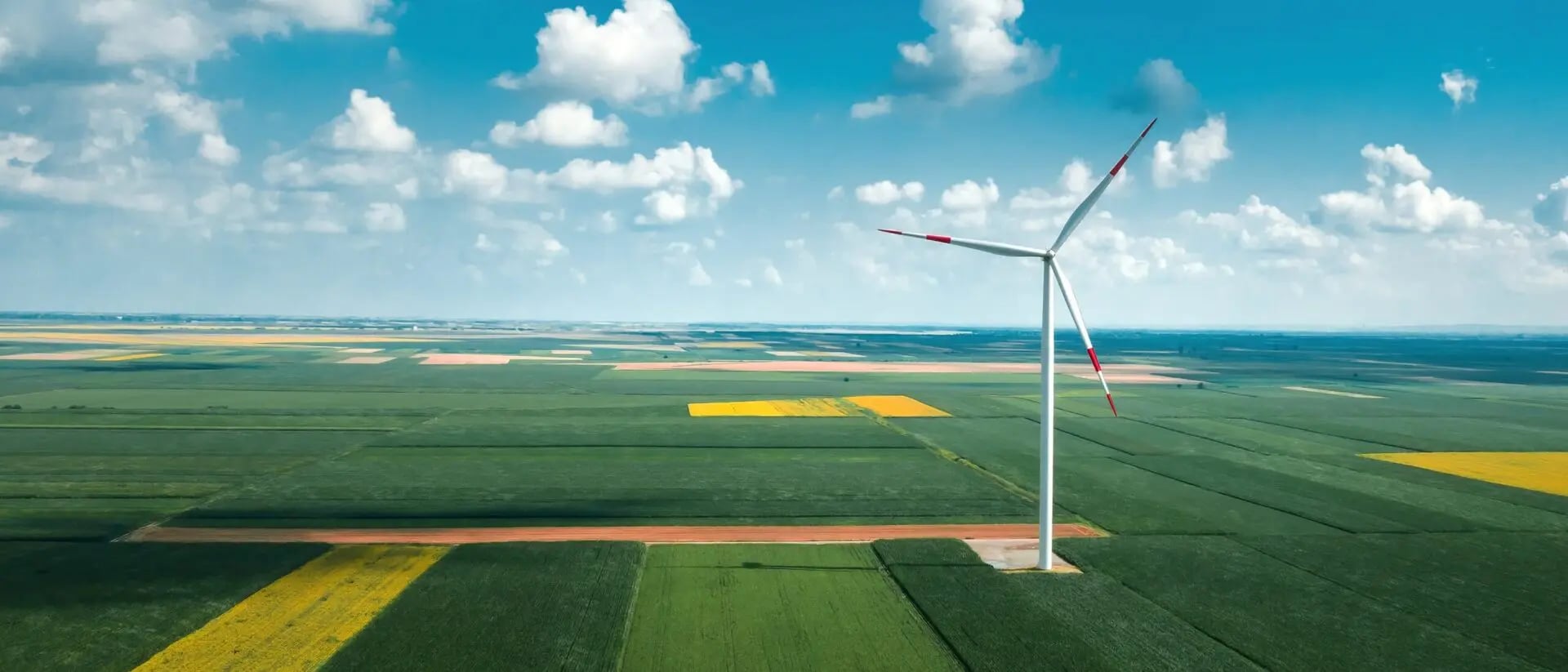 EU Green Bond Standard 2024 – Neuer europäischer Goldstandard für Green Bonds