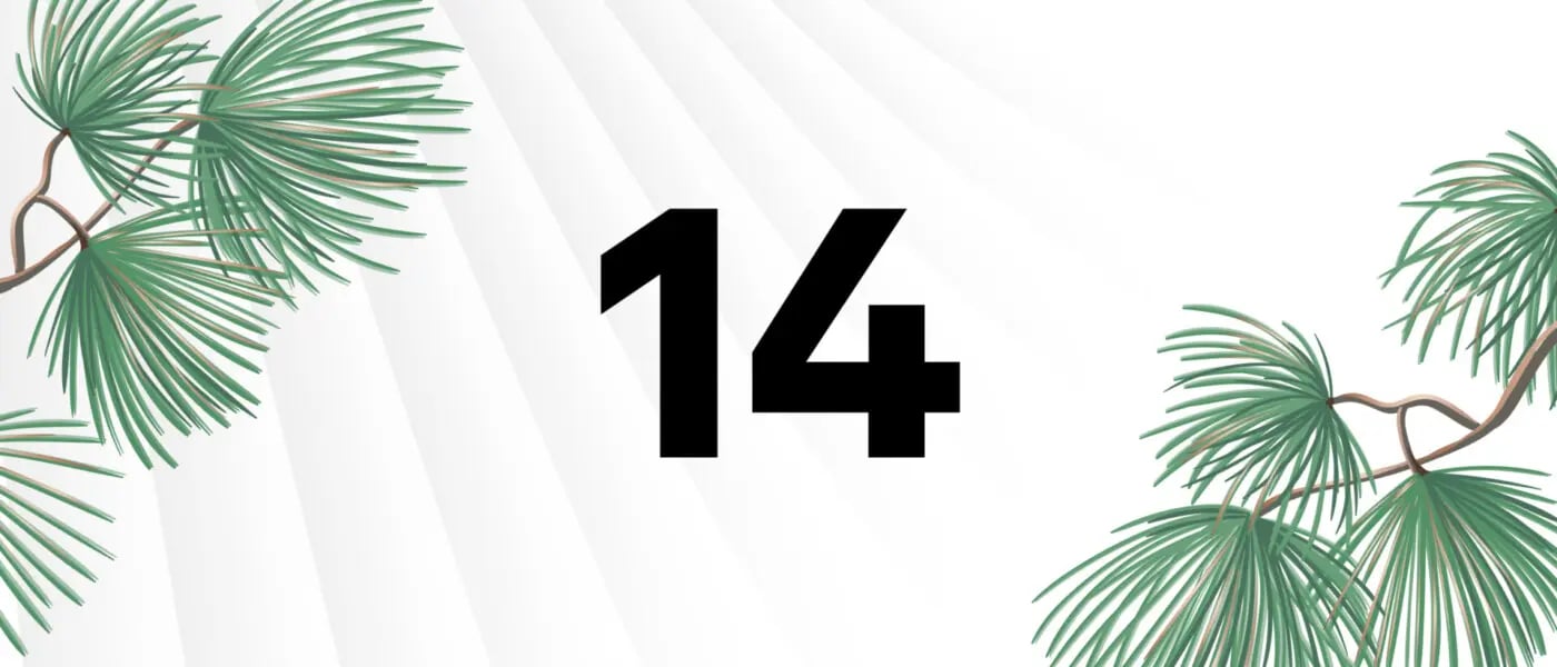 Türchen 14: Herausforderungen im Risikomanagement 2025