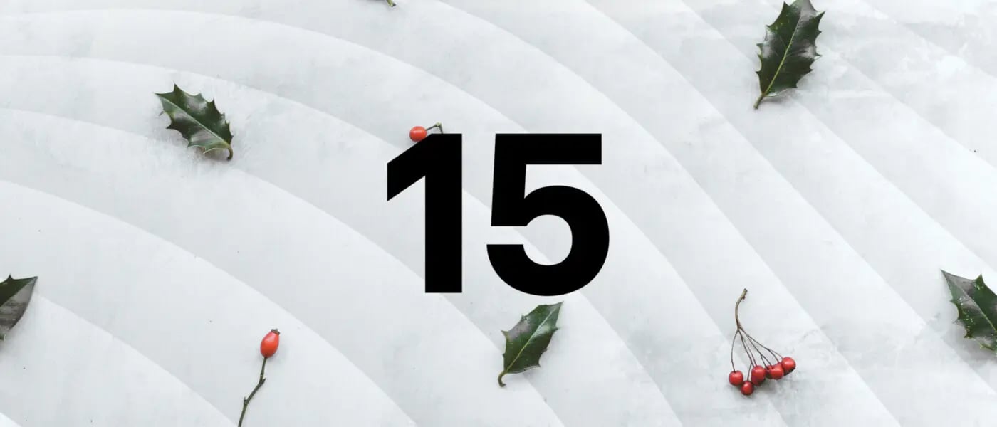 Türchen 15: Nachhaltigkeitsstrategien, CSRD und ESG-Trends