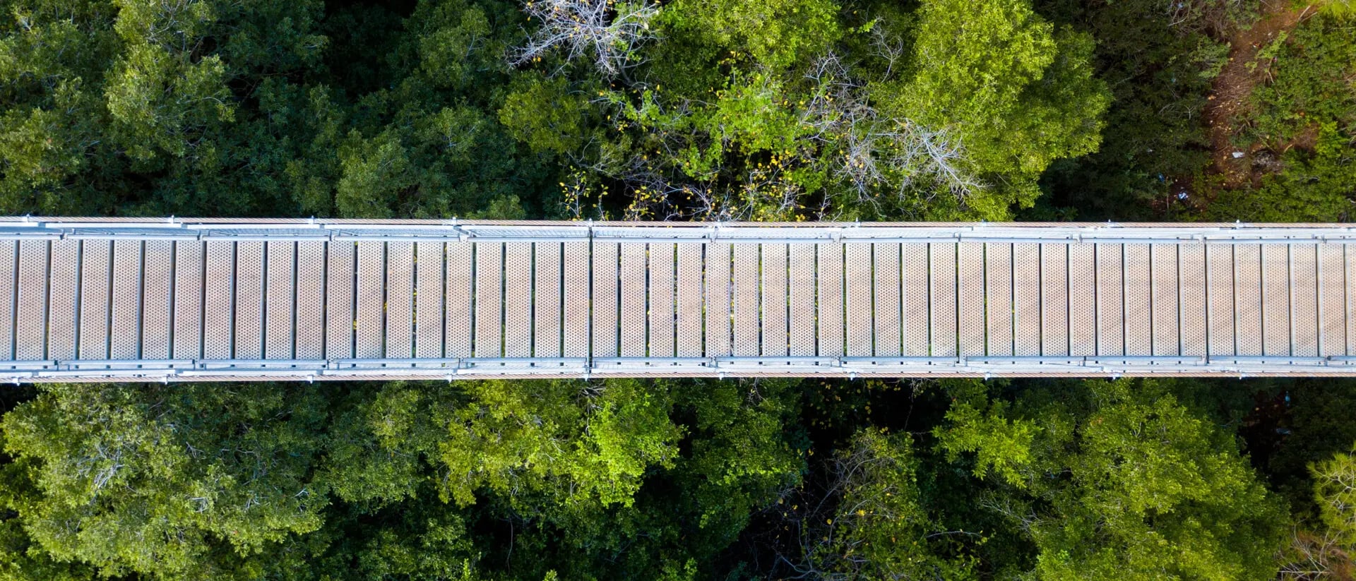 How Sustainability and Life Cycle Assessments are Changing Credit Practice
